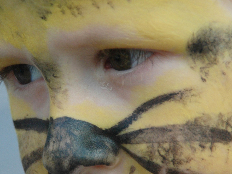 Schminken beim Sommerfest, Albertinen Kindertagesstätte Schnelsen, Hamburg Schminken beim Sommerfest, Albertinen Kindertagesstätte Schnelsen, Hamburg